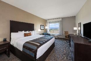 Wyndham Garden Orlando Universal / I Drive 客房 照片